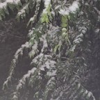 Expectations and Forgiveness